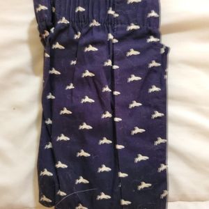J Crew shark boxers NWT